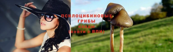 МДПВ Медвежьегорск