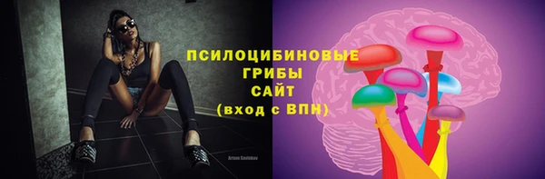 МДПВ Медвежьегорск