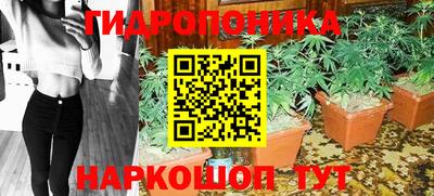 гашик Бузулук