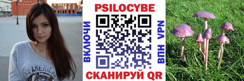 OMG tor  закладки  Дмитров  Галлюциногенные грибы Magic Shrooms 